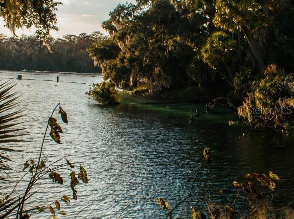 Image 18 of 20 For 1440 Trinidad Street