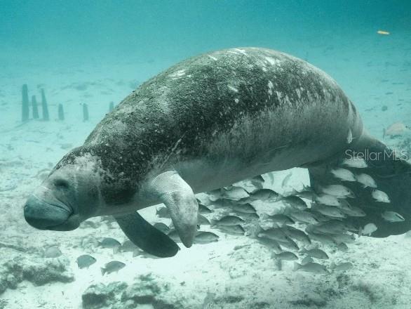 Image 20 of 20 For 1440 Trinidad Street