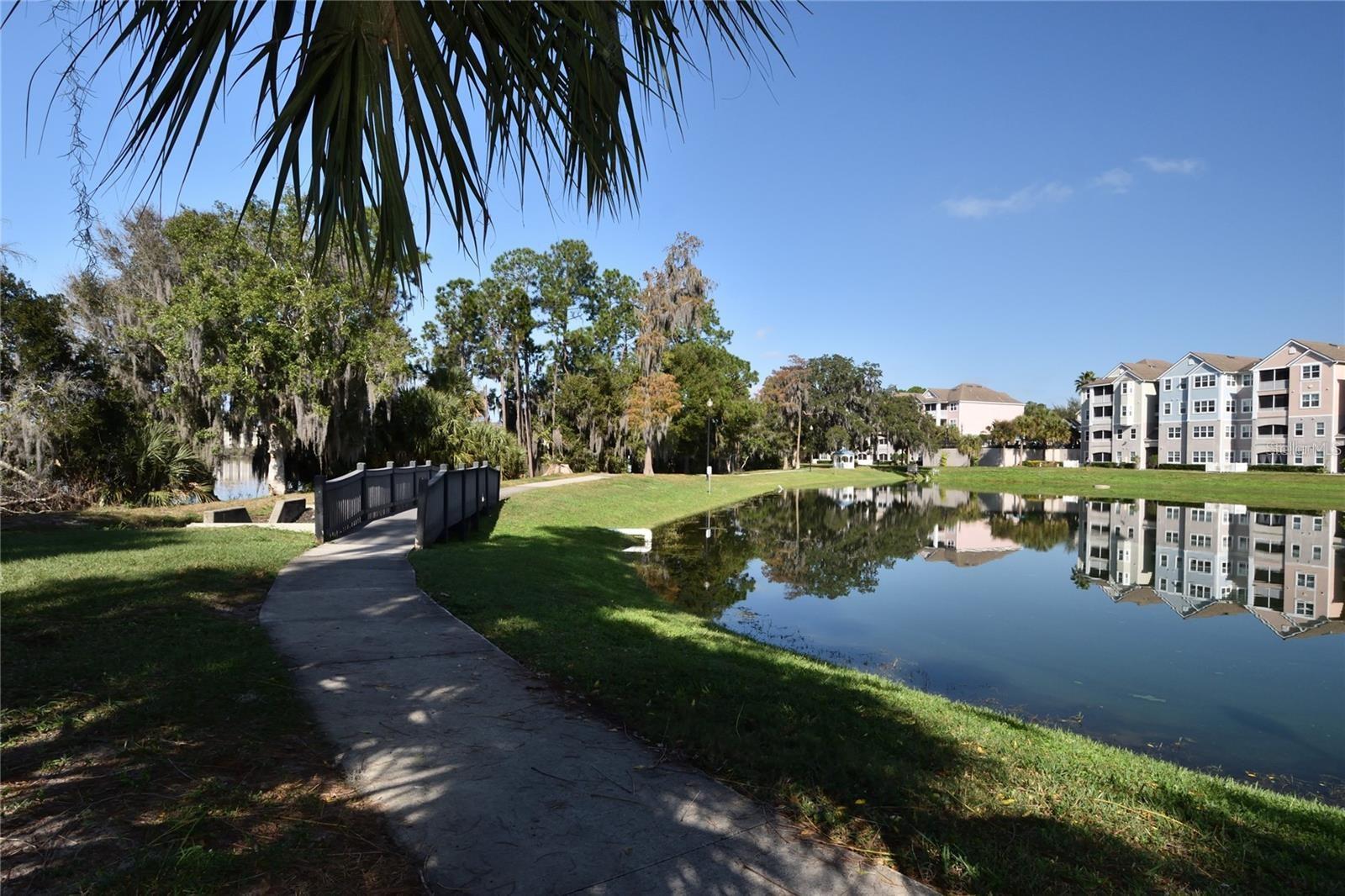 Image 15 of 32 For 3396 Parkchester Square Boulevard 104