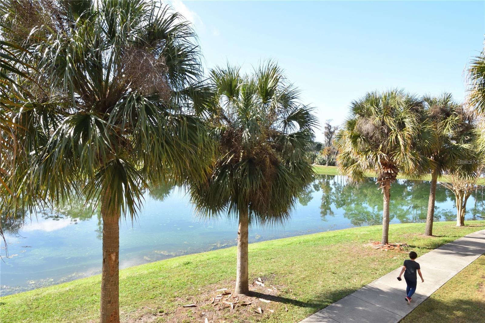 Image 32 of 32 For 3396 Parkchester Square Boulevard 104