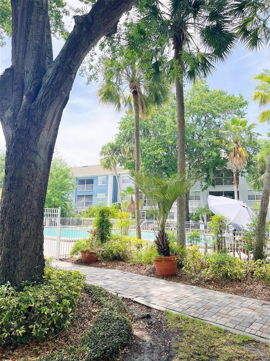 Image 8 of 20 For 8203 Olympia Court 8203