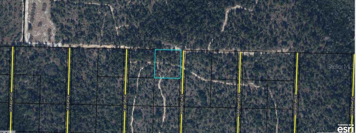 Image 4 of 4 For  Highway 20  