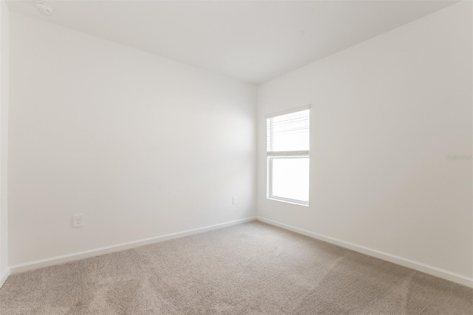 Image 8 of 15 For 406 Puma Loop