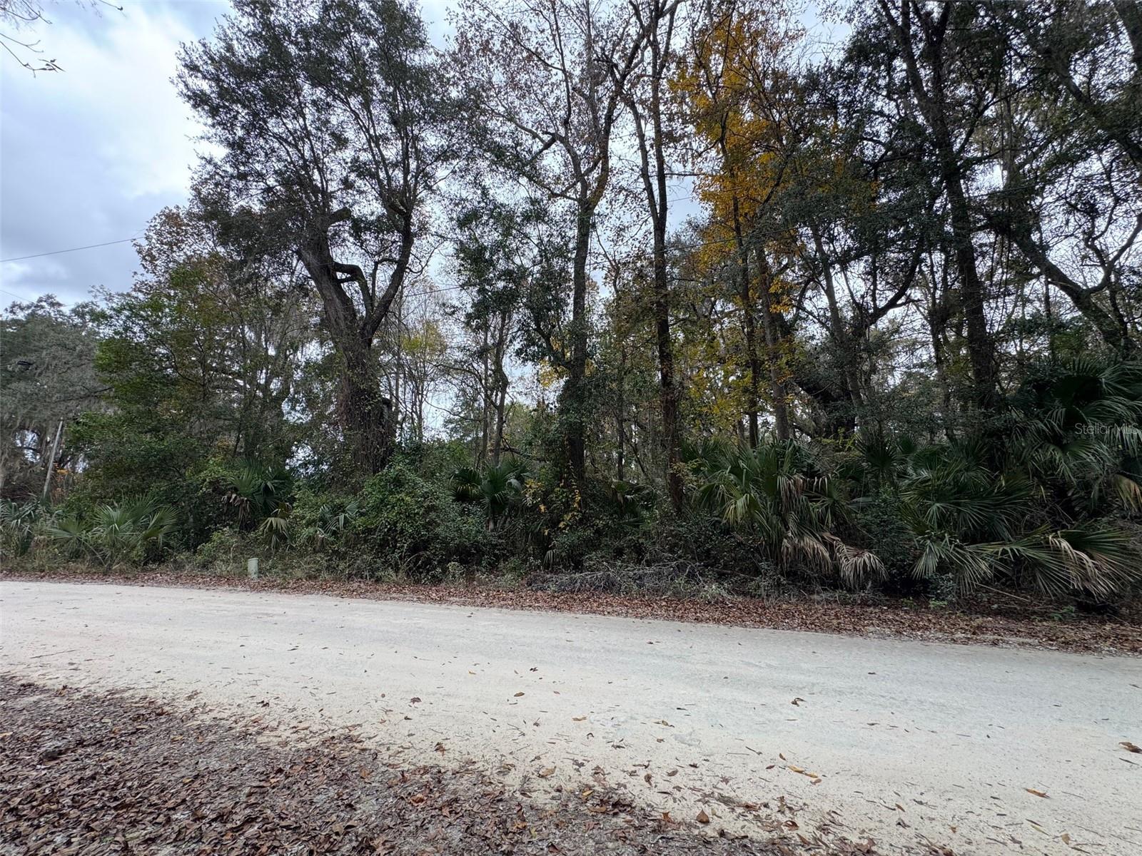 Image 3 of 7 For  142 Place 