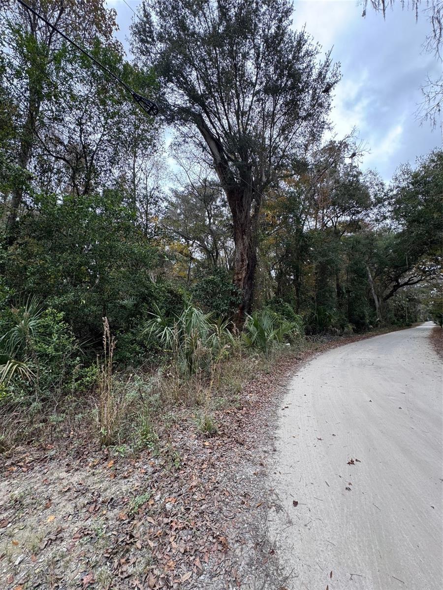 Image 5 of 7 For  142 Place 