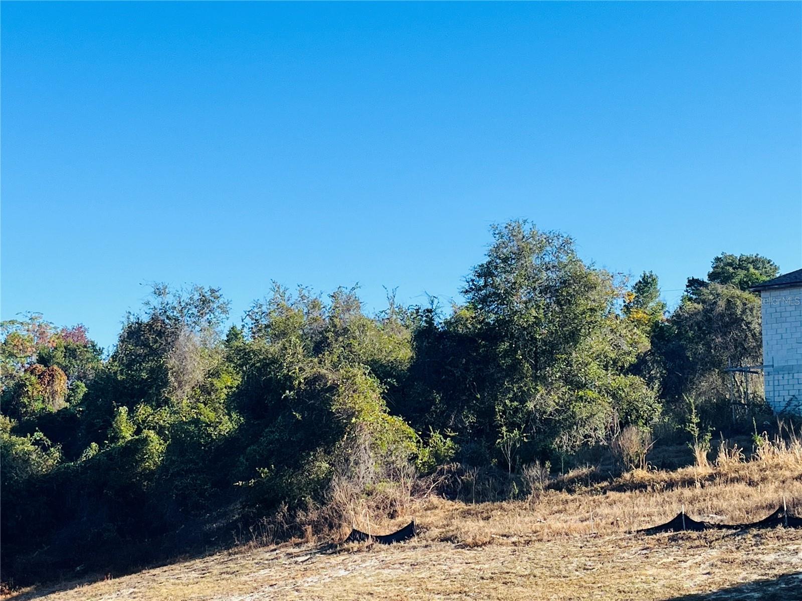 Image 6 of 7 For 2106 Gloria Drive