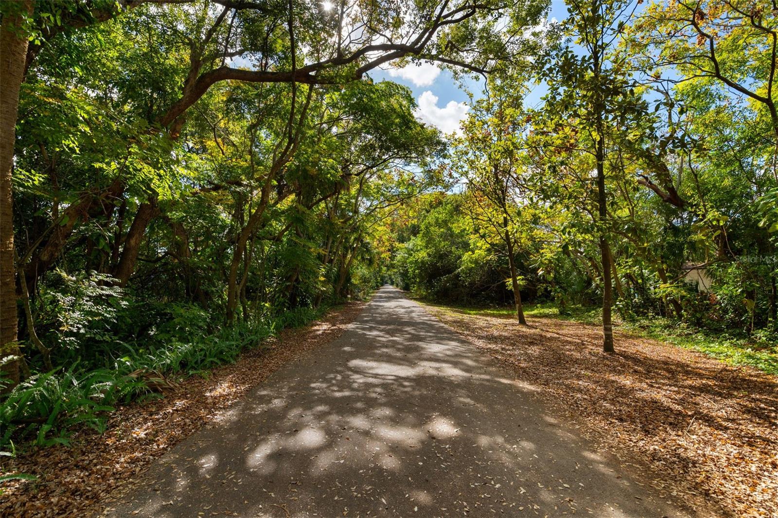 Image 50 of 53 For 513 Cornwall Road