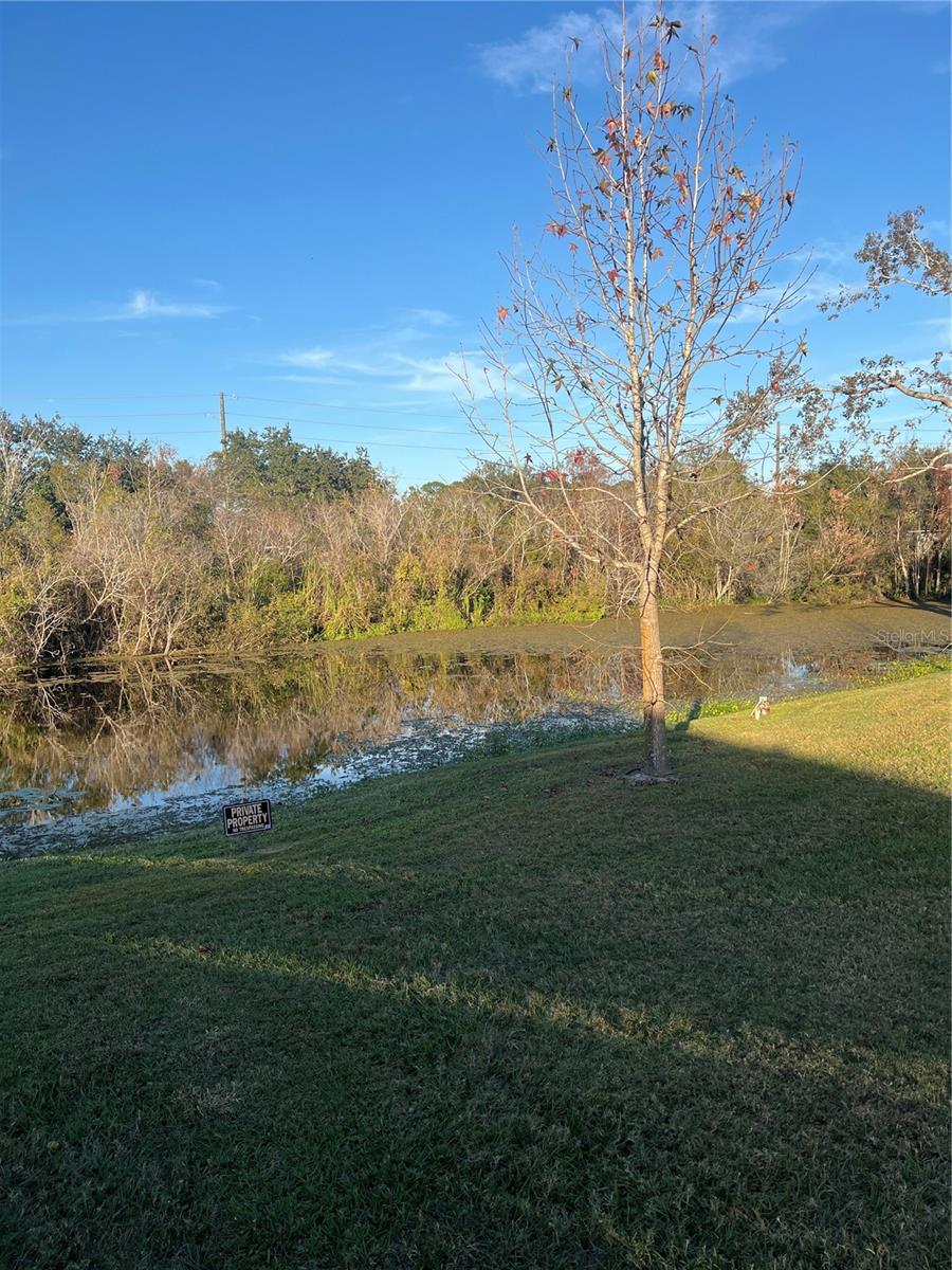 Image 7 of 29 For 254 Sunrise Boulevard