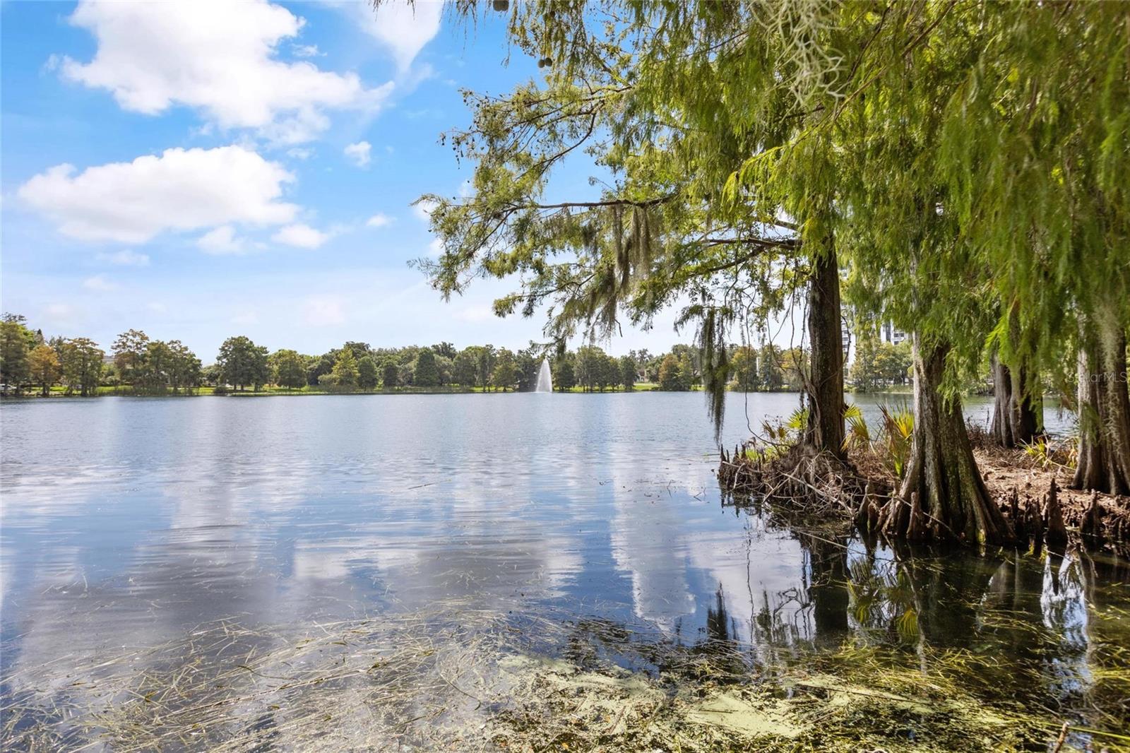 Image 3 of 32 For 758 Highland Avenue 13