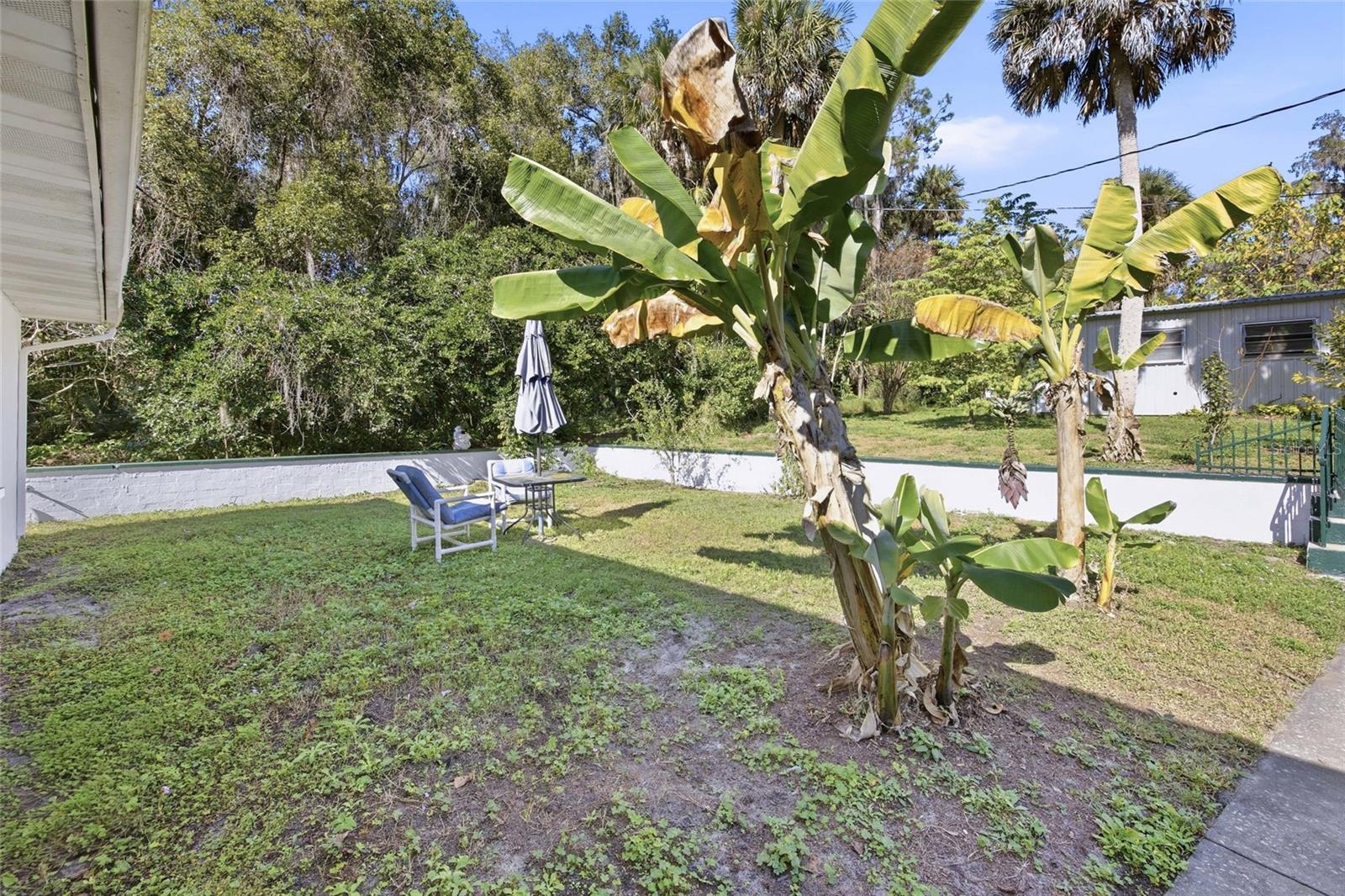 Image 60 of 64 For 280 Palm Court