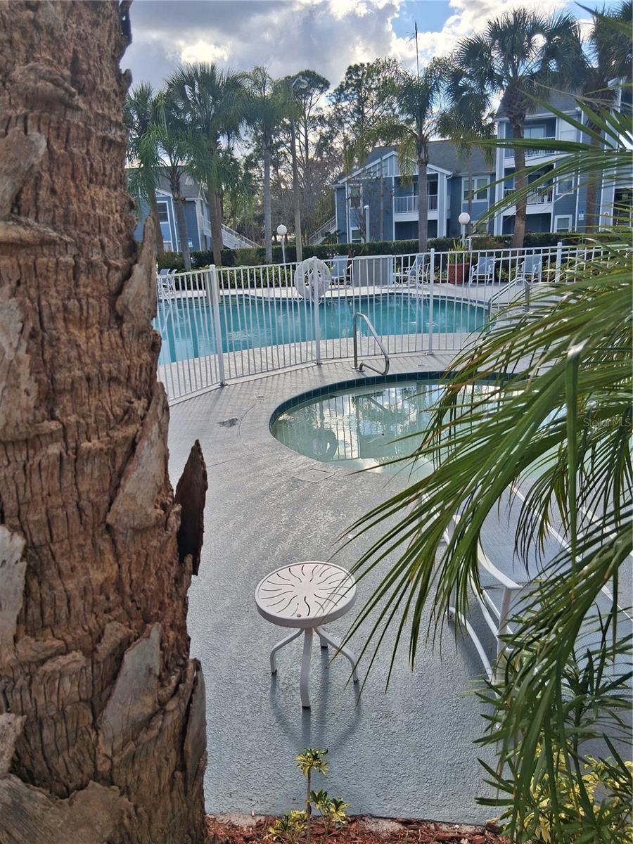 Image 16 of 20 For 2561 Grassy Point Drive 109