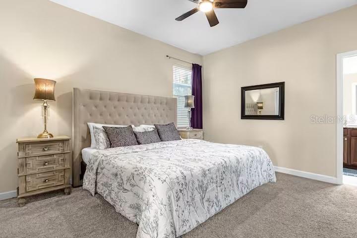 Image 19 of 52 For 8802 Bamboo Palm Court