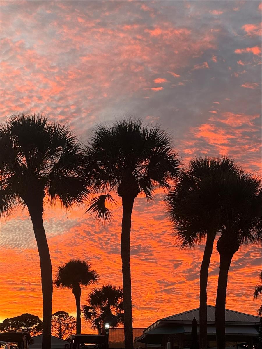 Image 44 of 51 For 300 Royal Troon Loop