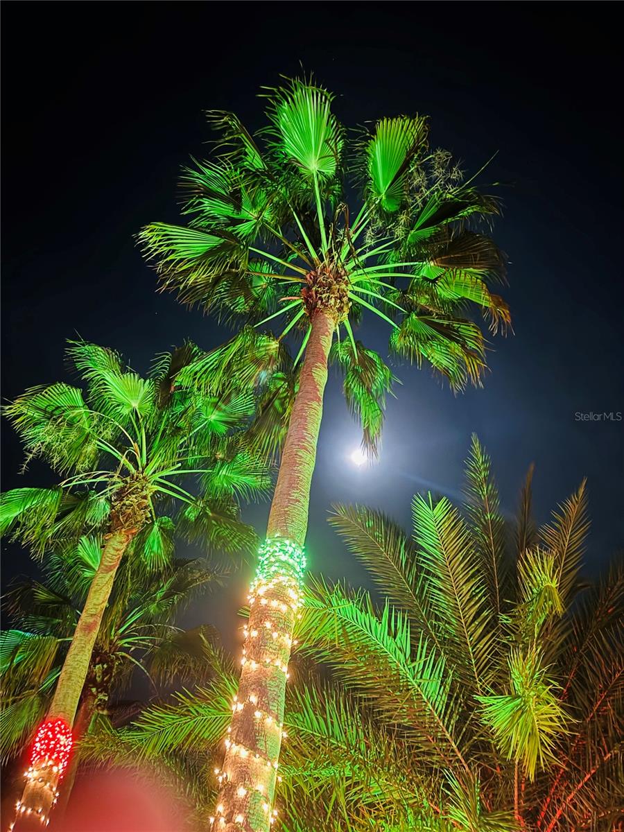 Image 49 of 51 For 300 Royal Troon Loop