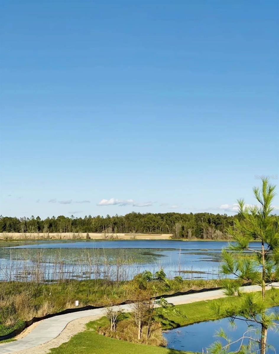 Image 34 of 40 For 2768 Norway Maple Court