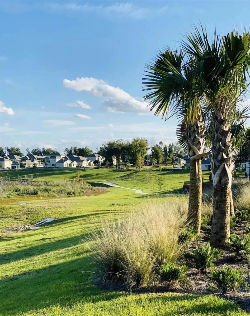 Image 39 of 40 For 2768 Norway Maple Court