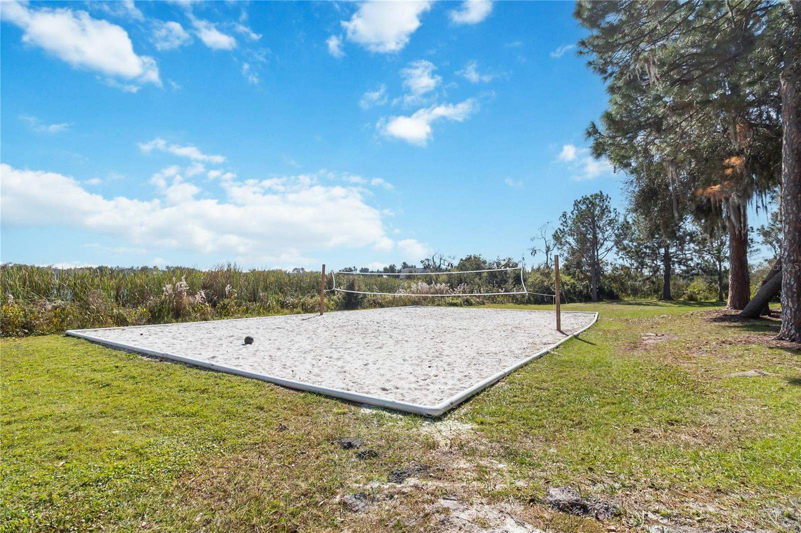 Image 5 of 39 For 4345 Saltmarsh Sparrow Drive