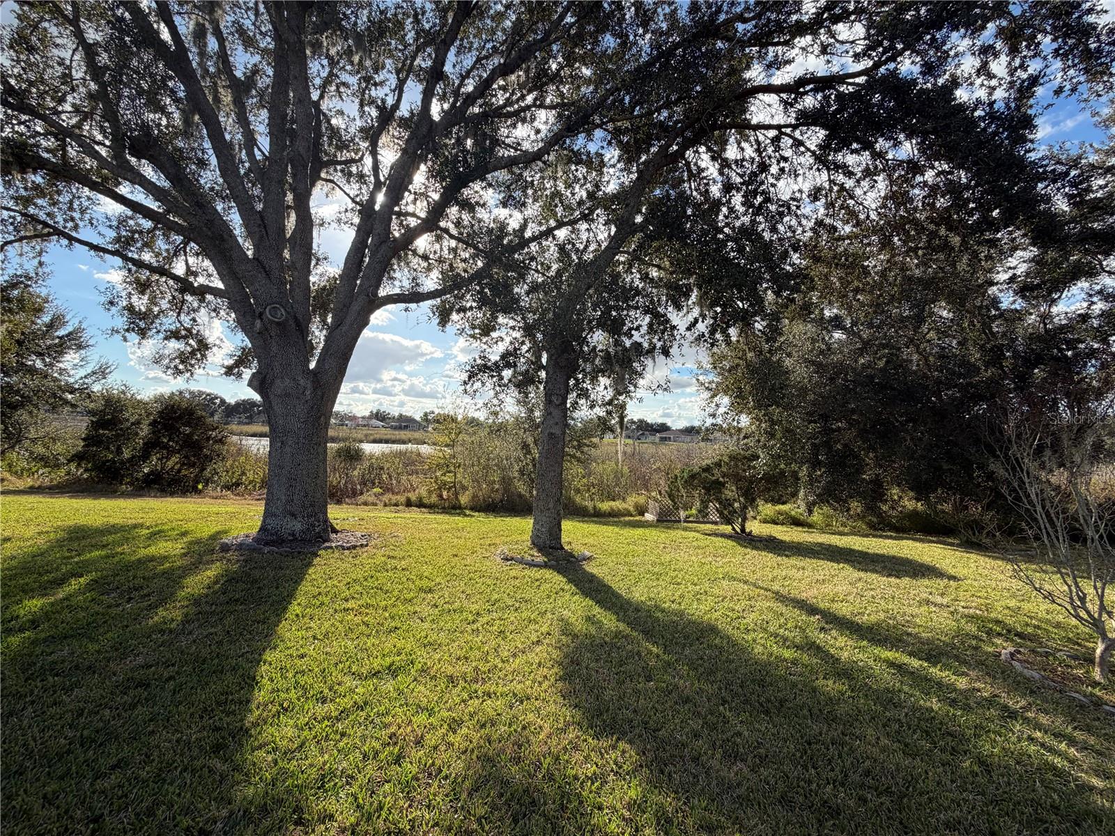 Listing photo id 25 for 21623 Regency Park Lane