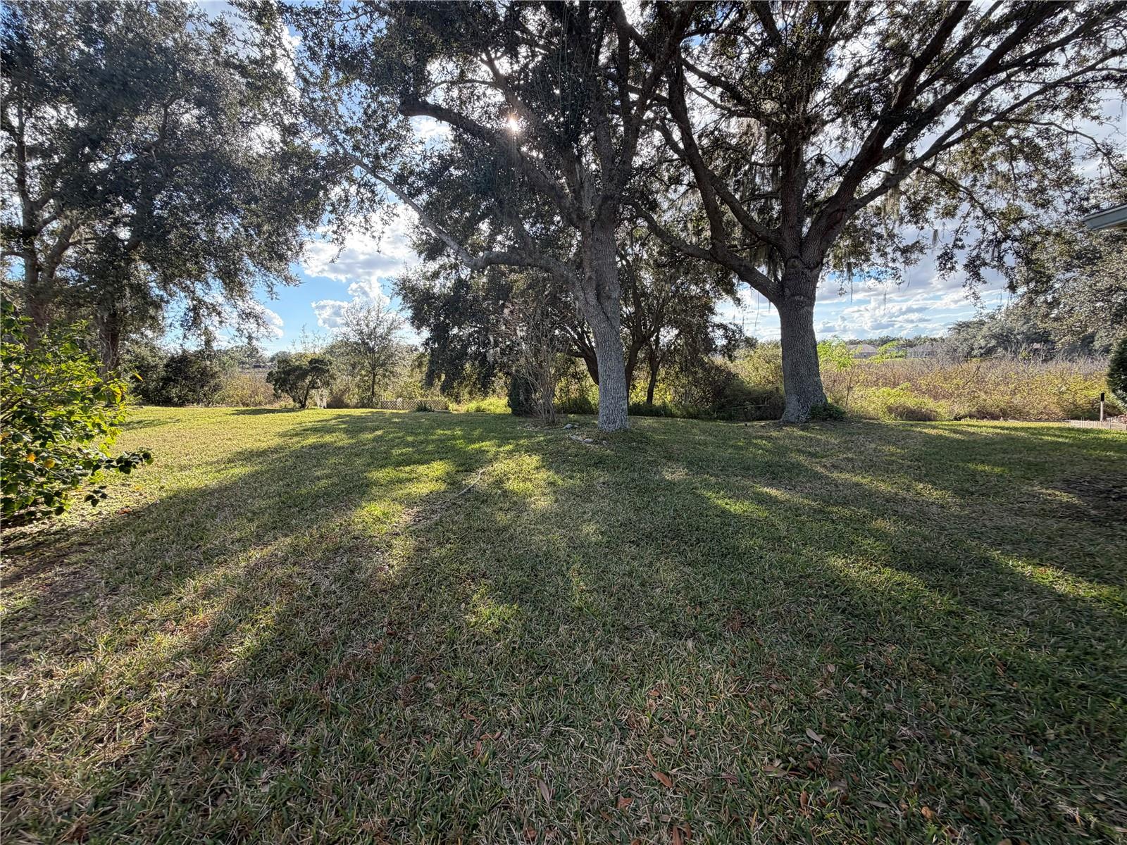 Listing photo id 27 for 21623 Regency Park Lane