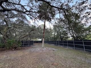 Image 5 of 20 For 176 Lake Eva Drive