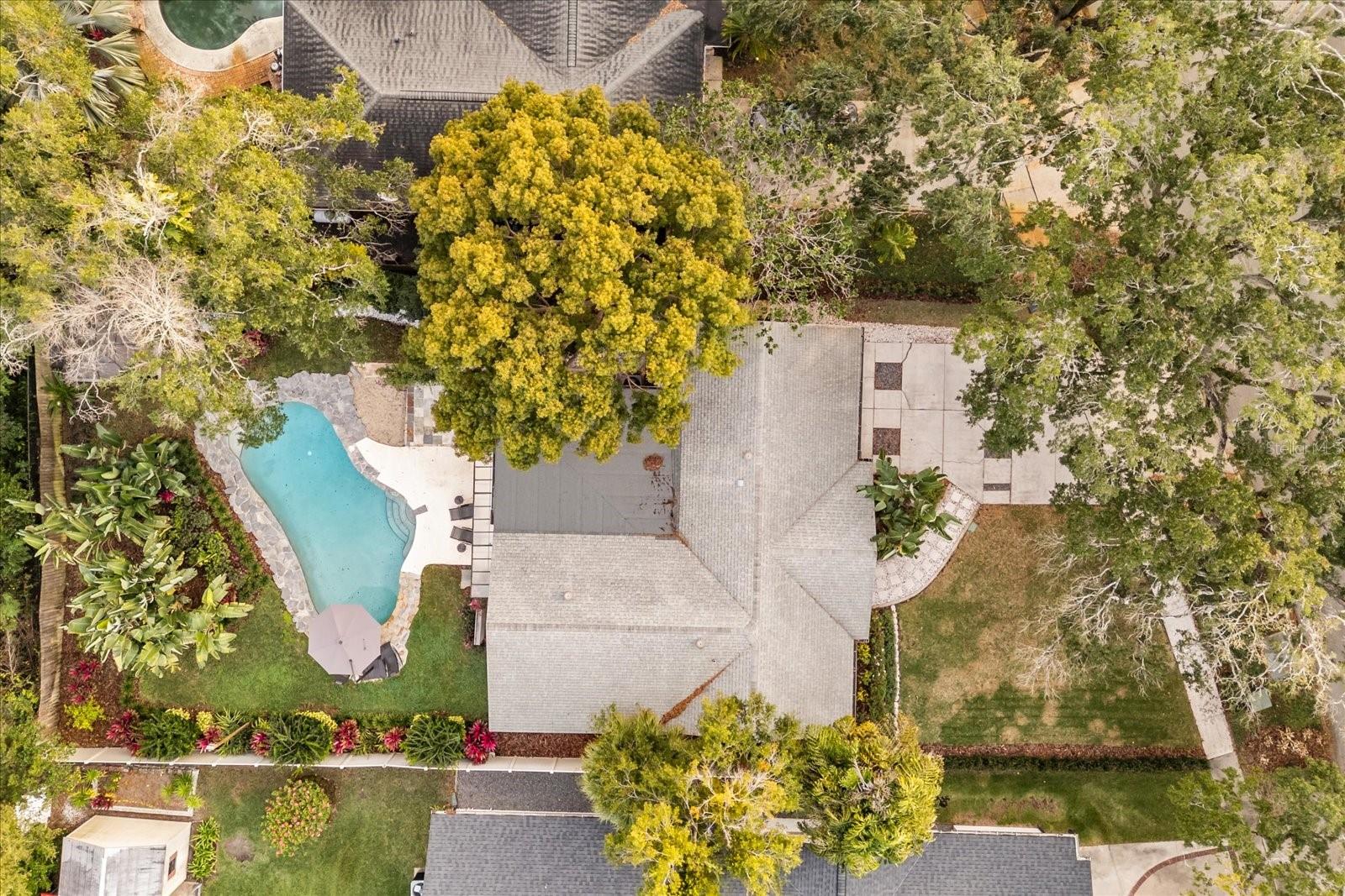 Image 32 of 32 For 1802 Arbor Park Drive