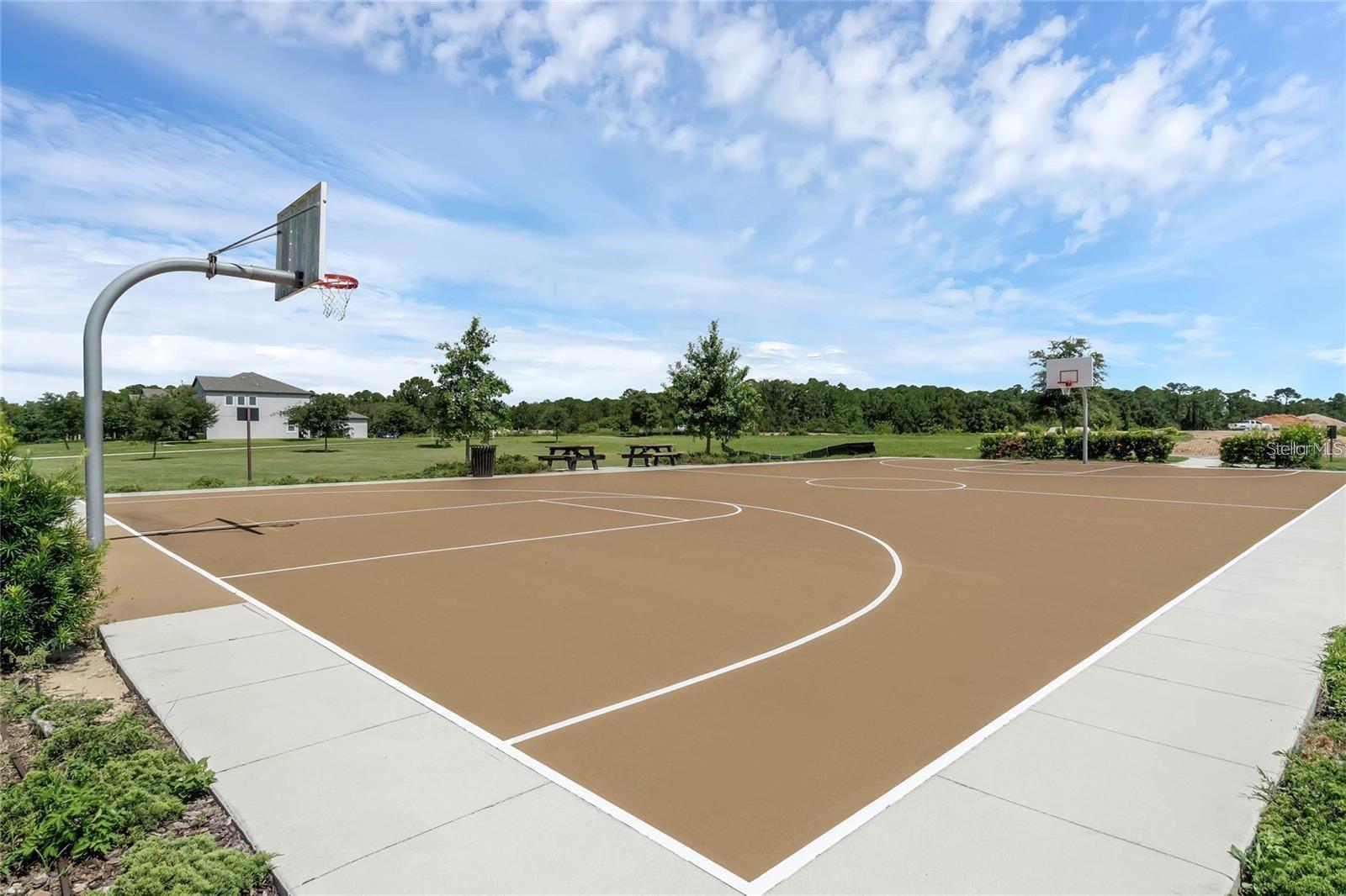 Image 36 of 38 For 9960 Pallida Hickory Way