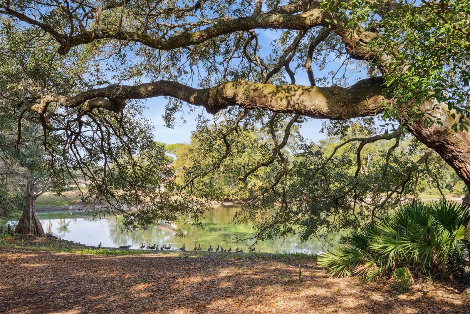 Image 28 of 29 For 4028 Maryland Place