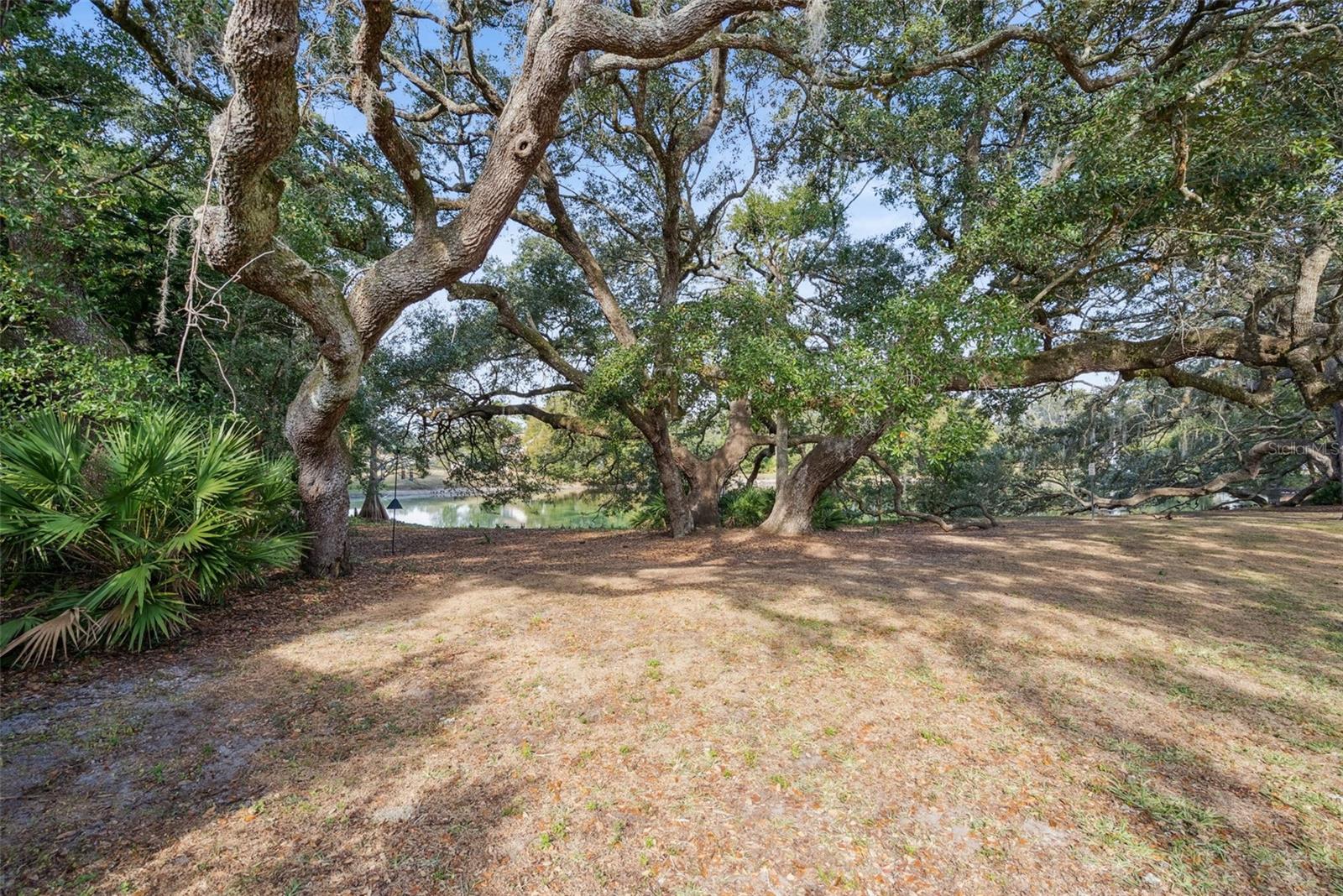 Image 29 of 29 For 4028 Maryland Place