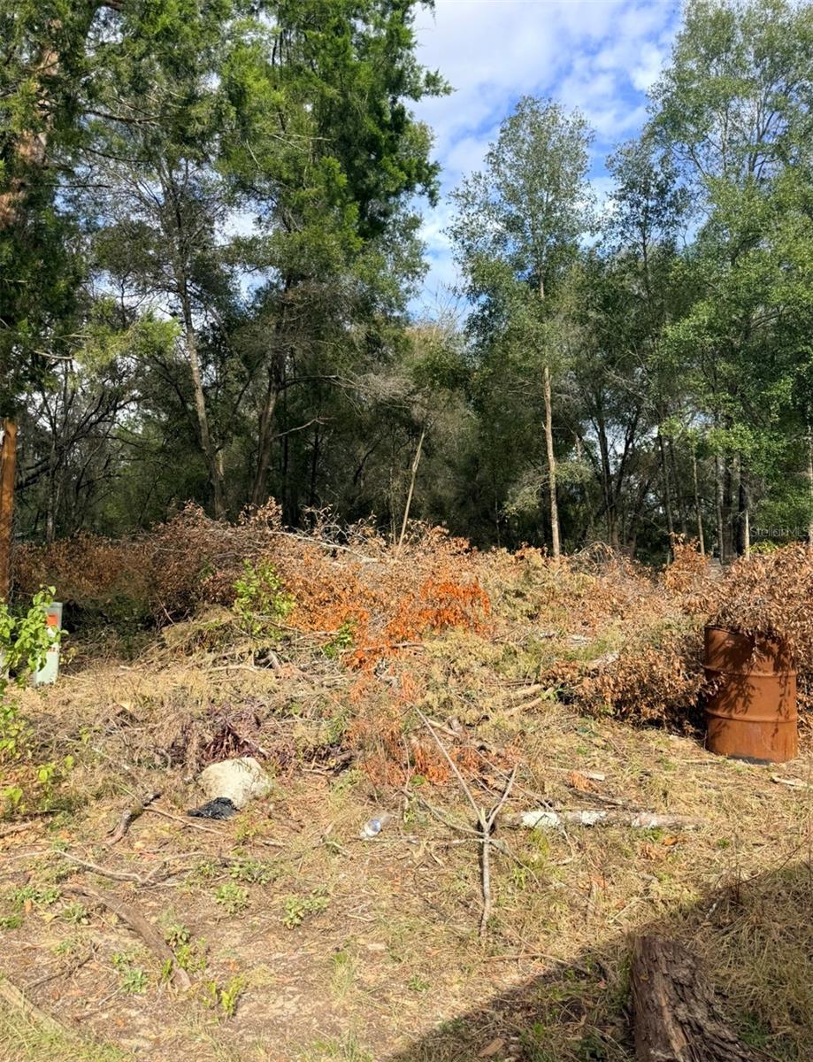 Image 5 of 5 For 150 1st Way 