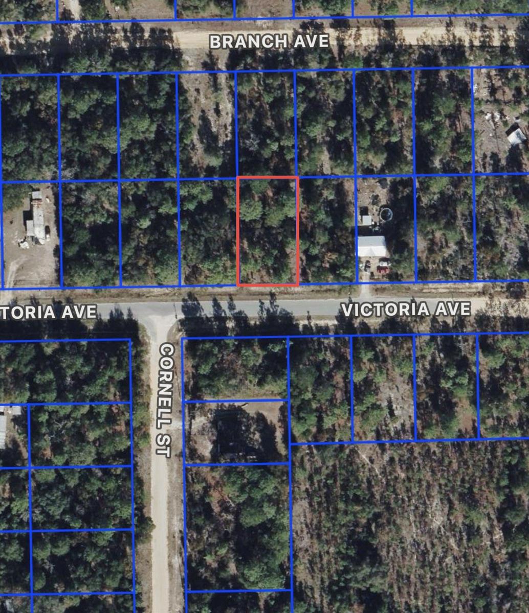 Details for 0 Unassigned, INTERLACHEN, FL 32148
