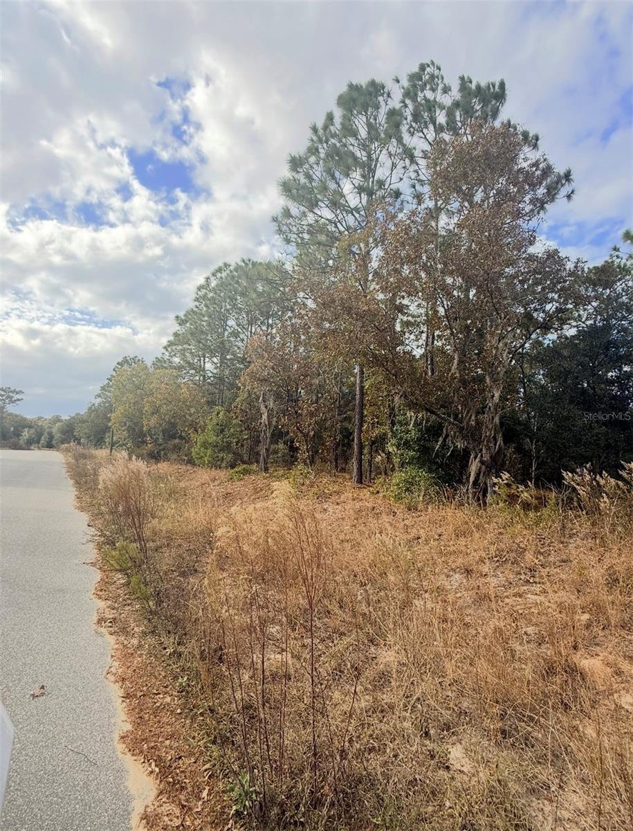 Image 4 of 6 For 0 Unassigned