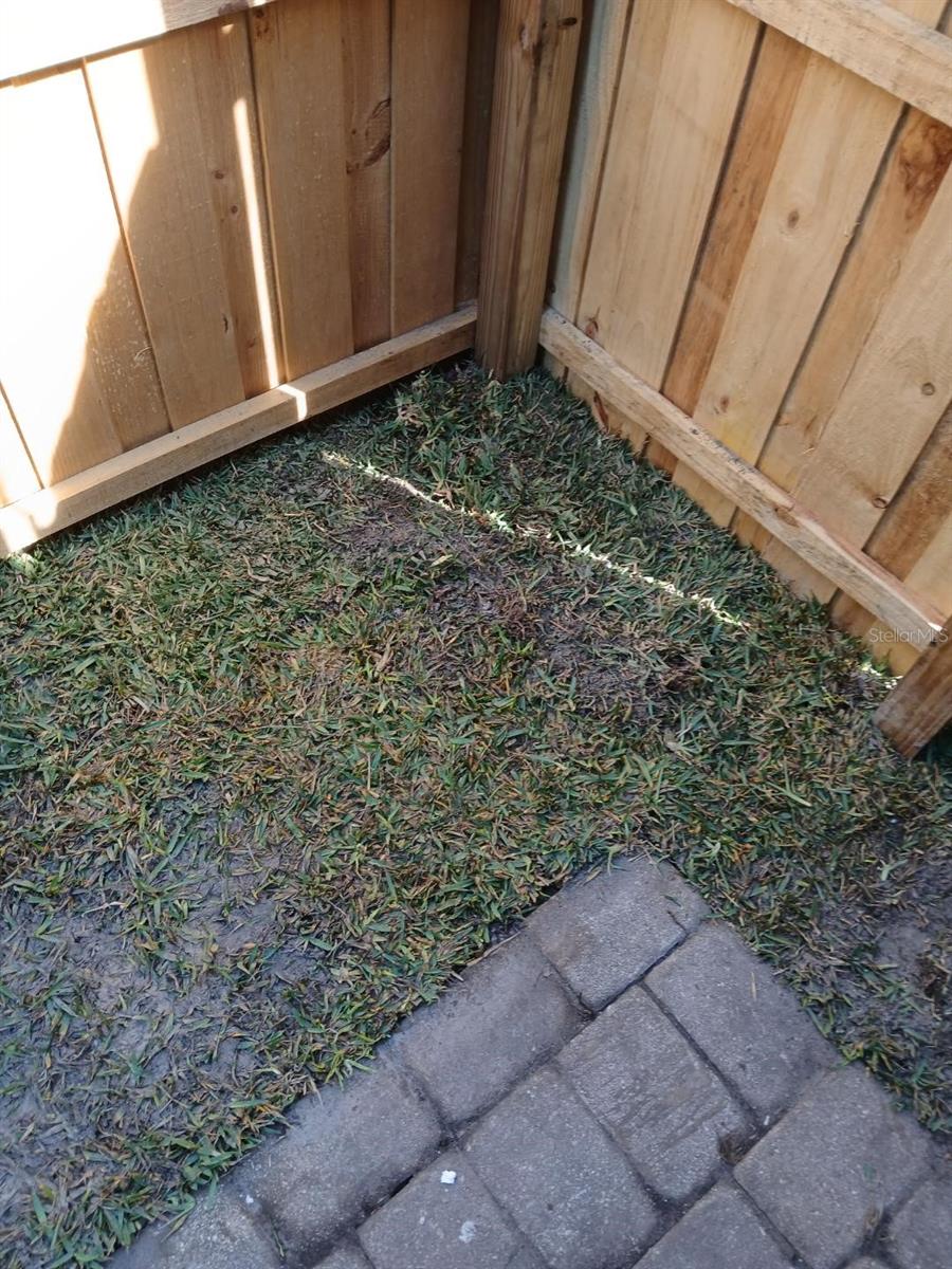 Image 12 of 16 For 3907 Coronation Court