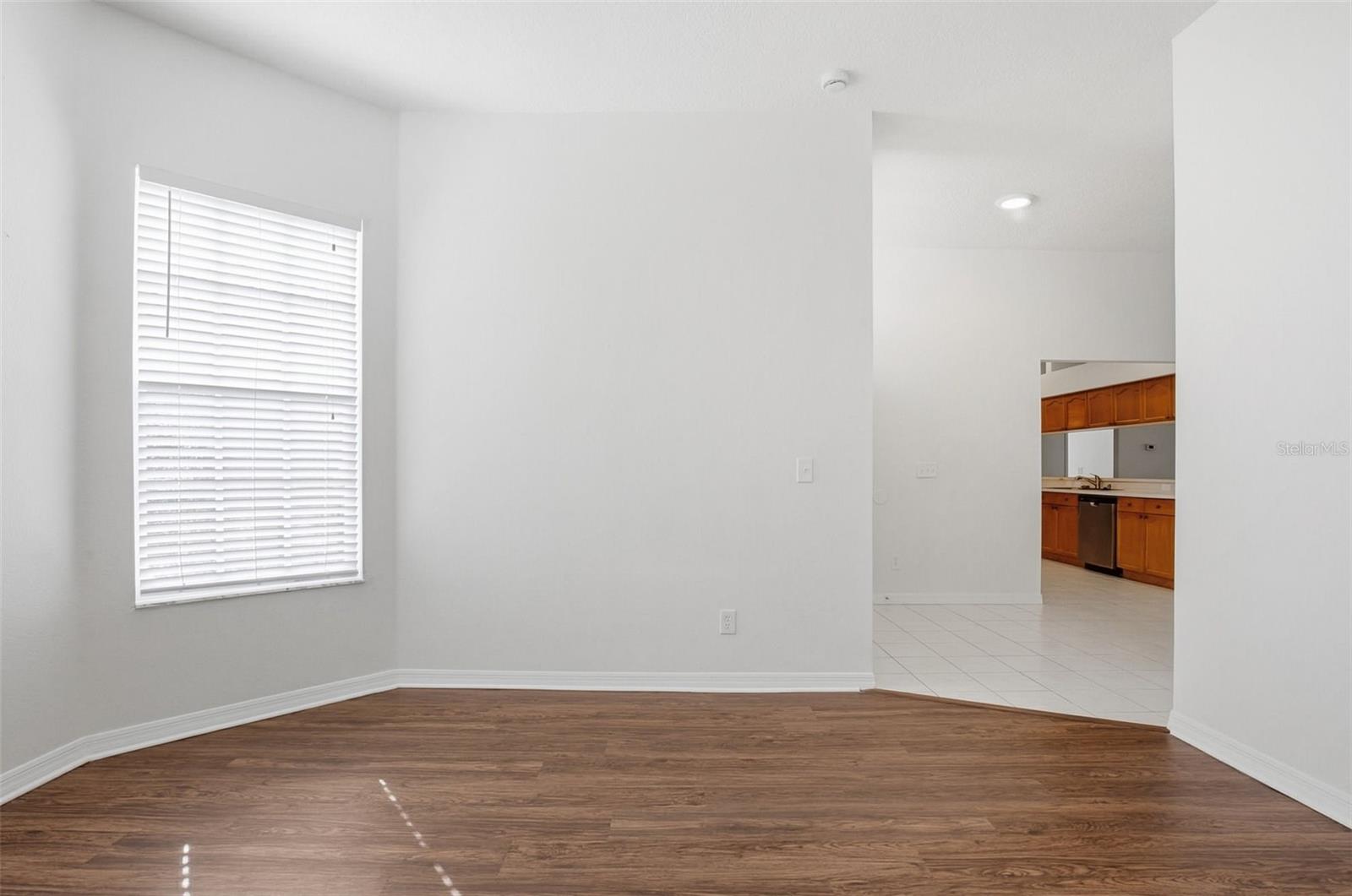 Image 12 of 35 For 28516 Hanging Moss Loop