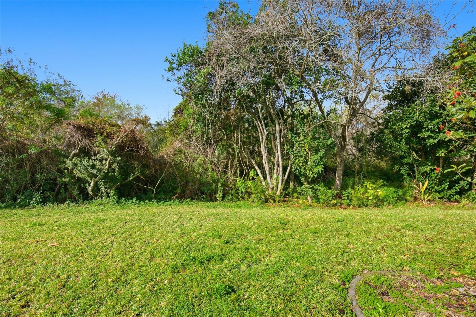 Image 35 of 35 For 28516 Hanging Moss Loop