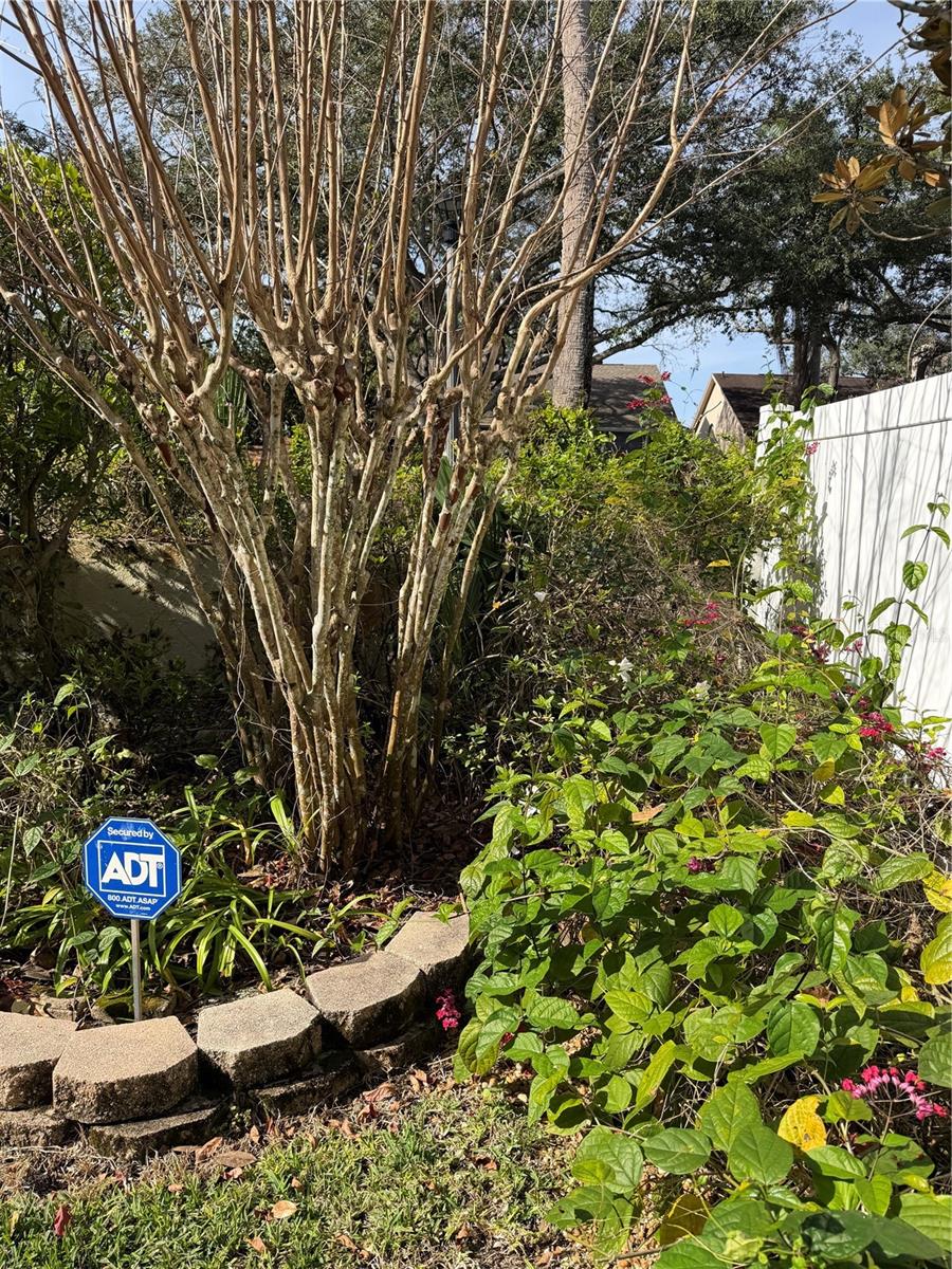 Image 30 of 48 For 717 Wilson Road