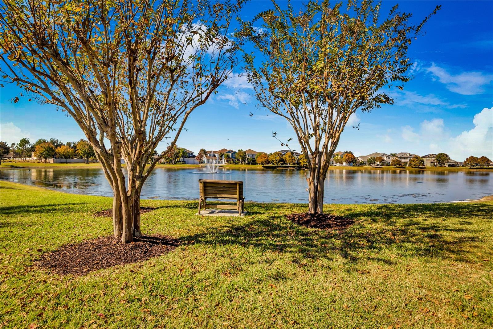 Image 34 of 49 For 529 Blue Cypress Drive