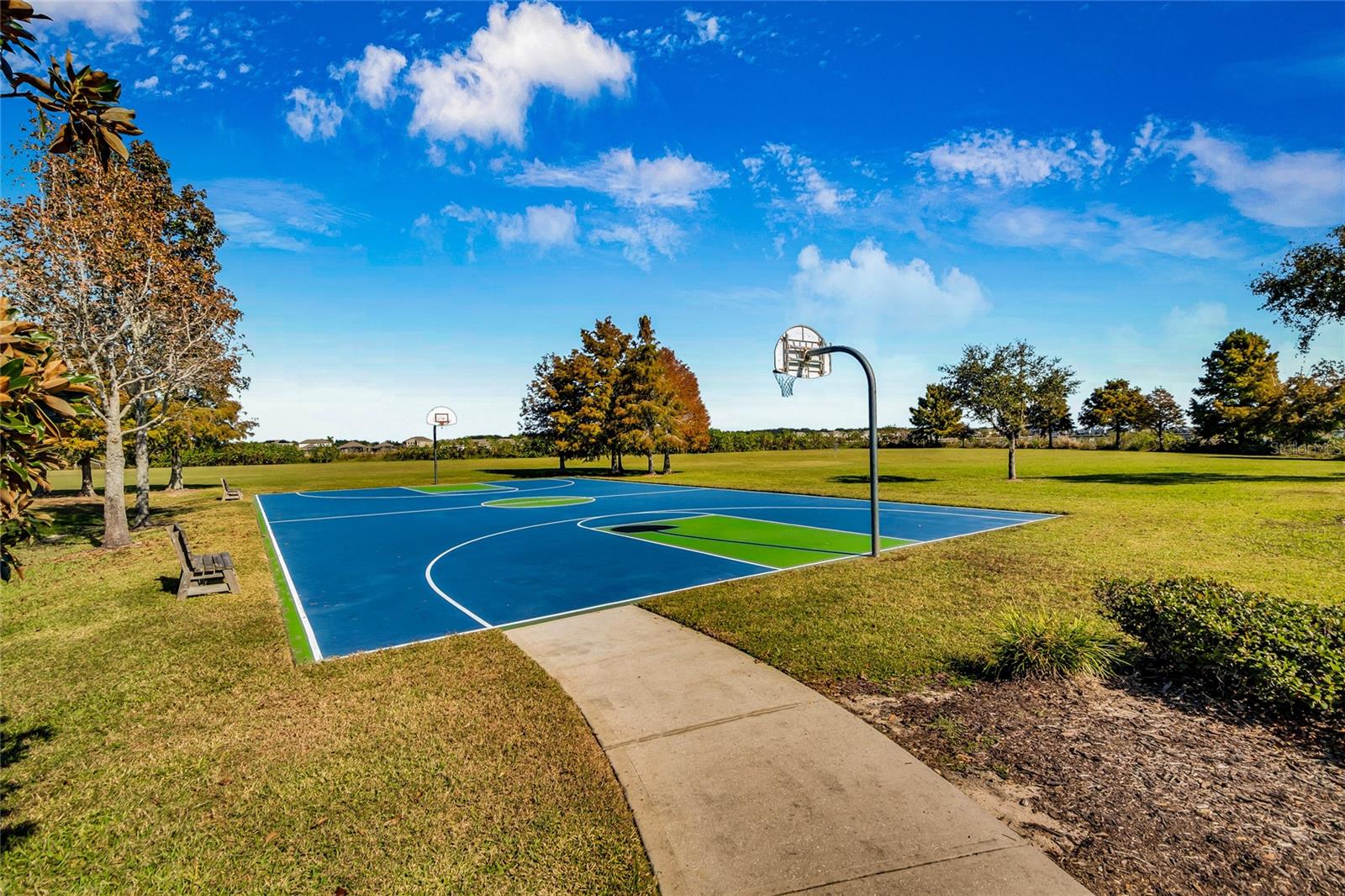 Image 36 of 49 For 529 Blue Cypress Drive