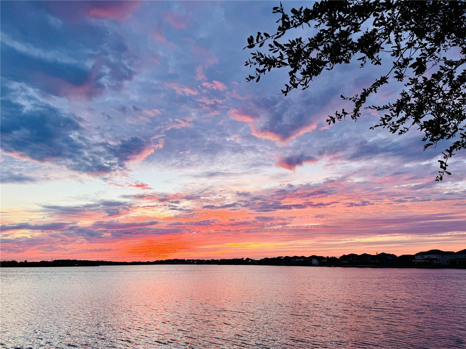 Image 7 of 49 For 529 Blue Cypress Drive