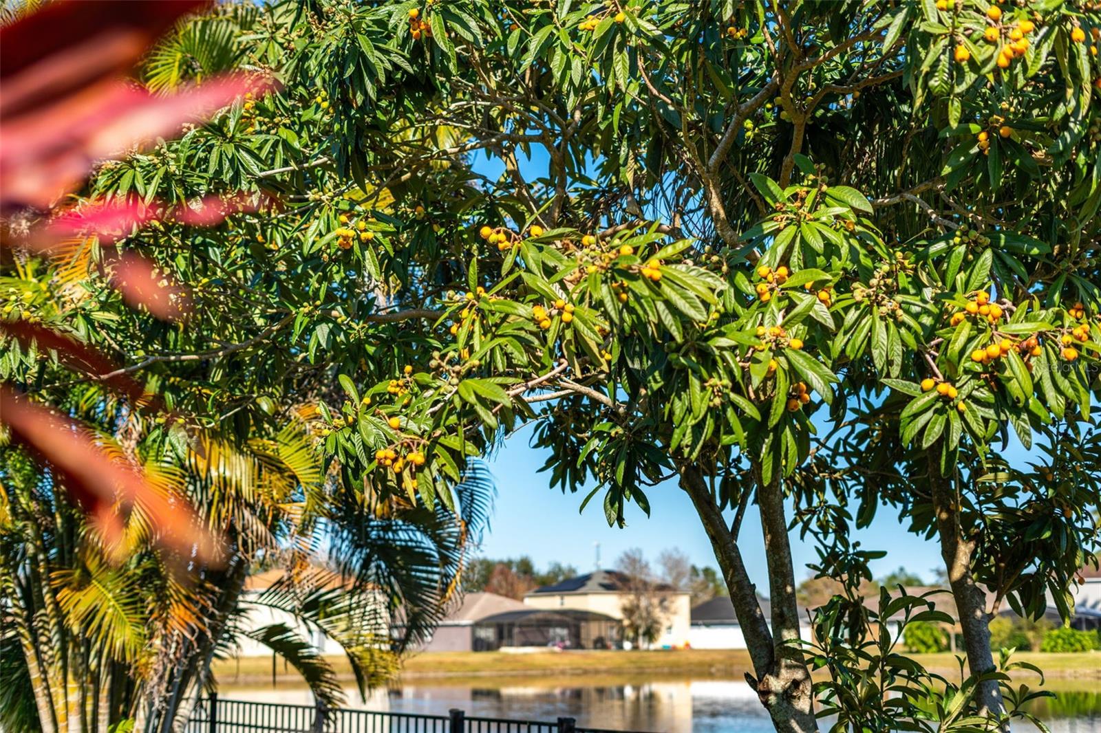 Image 33 of 48 For 1015 Seneca Falls Drive