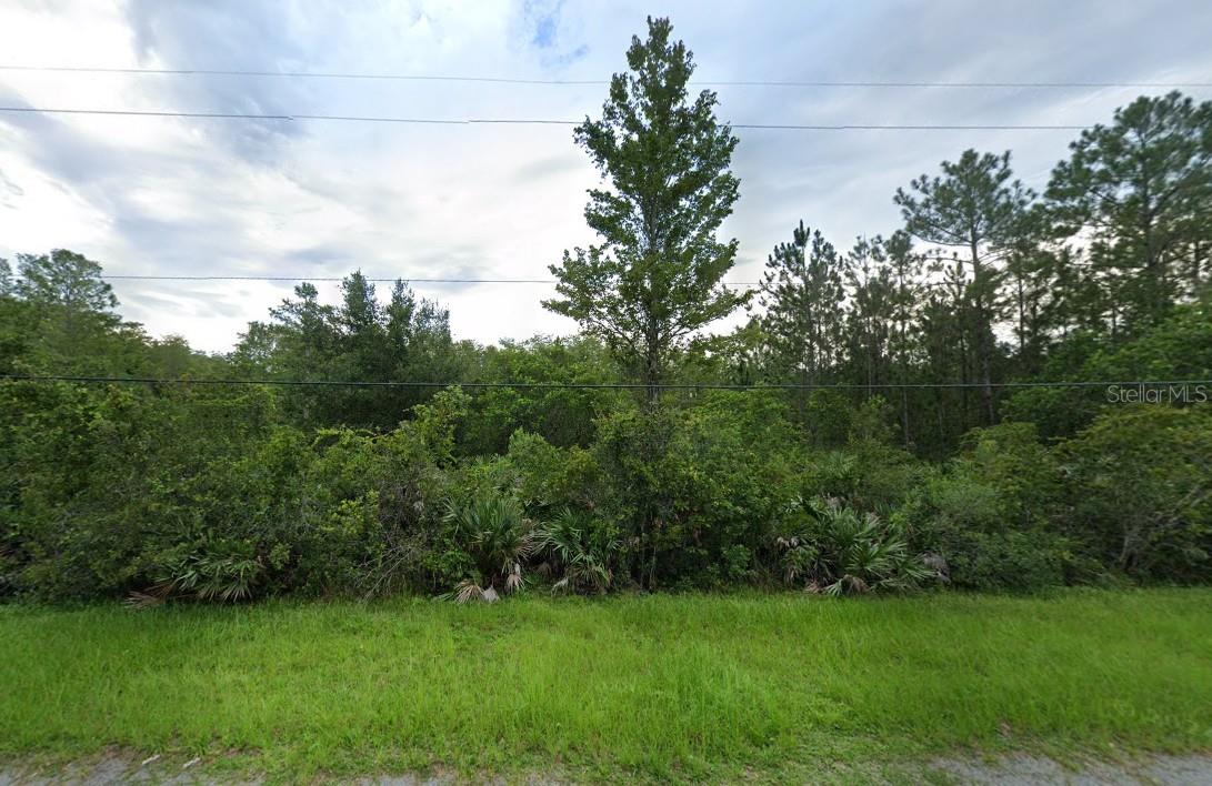 Details for 0 Coronet Avenue, ORLANDO, FL 32833