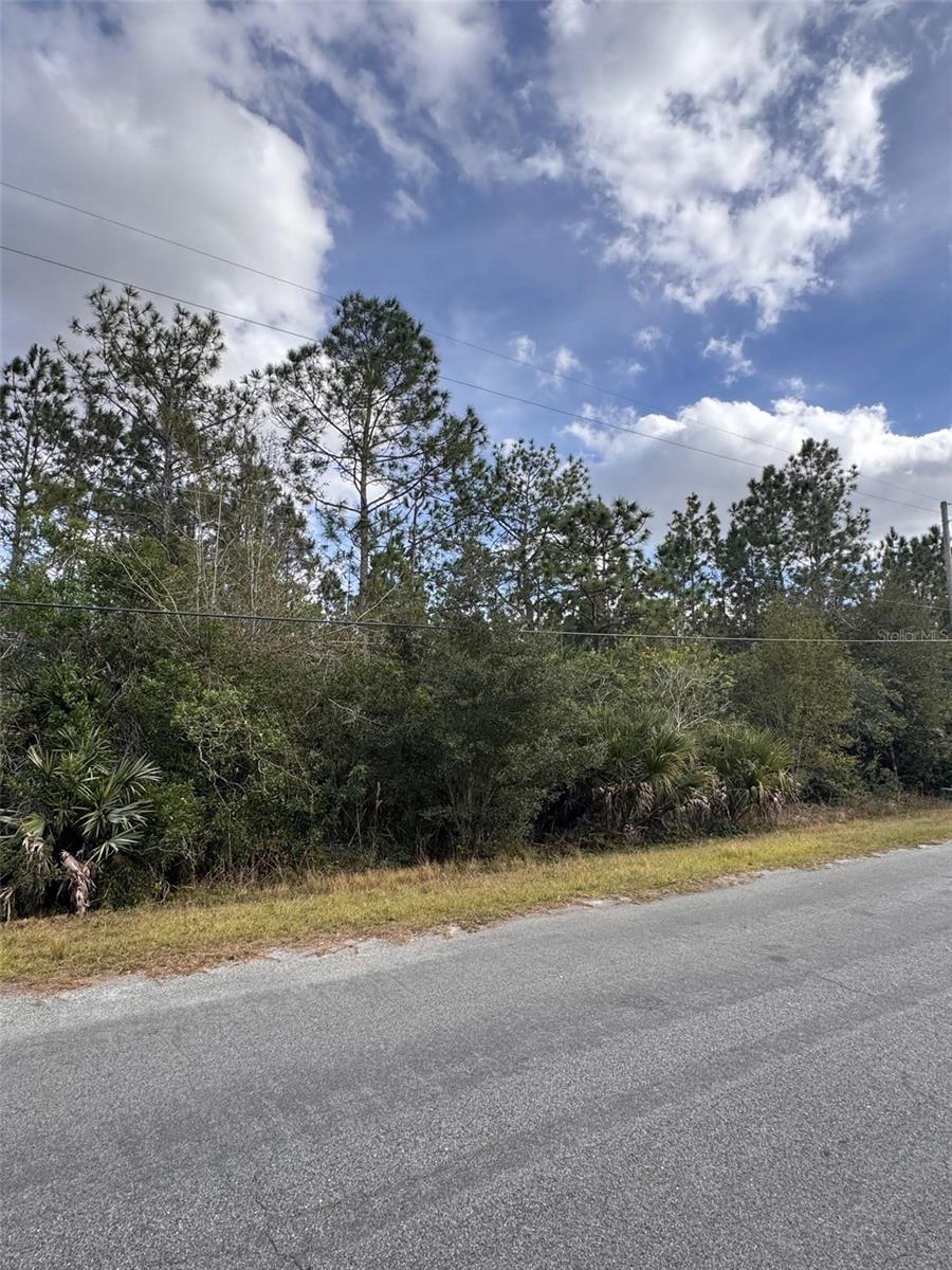 Image 4 of 11 For 0 Coronet Avenue