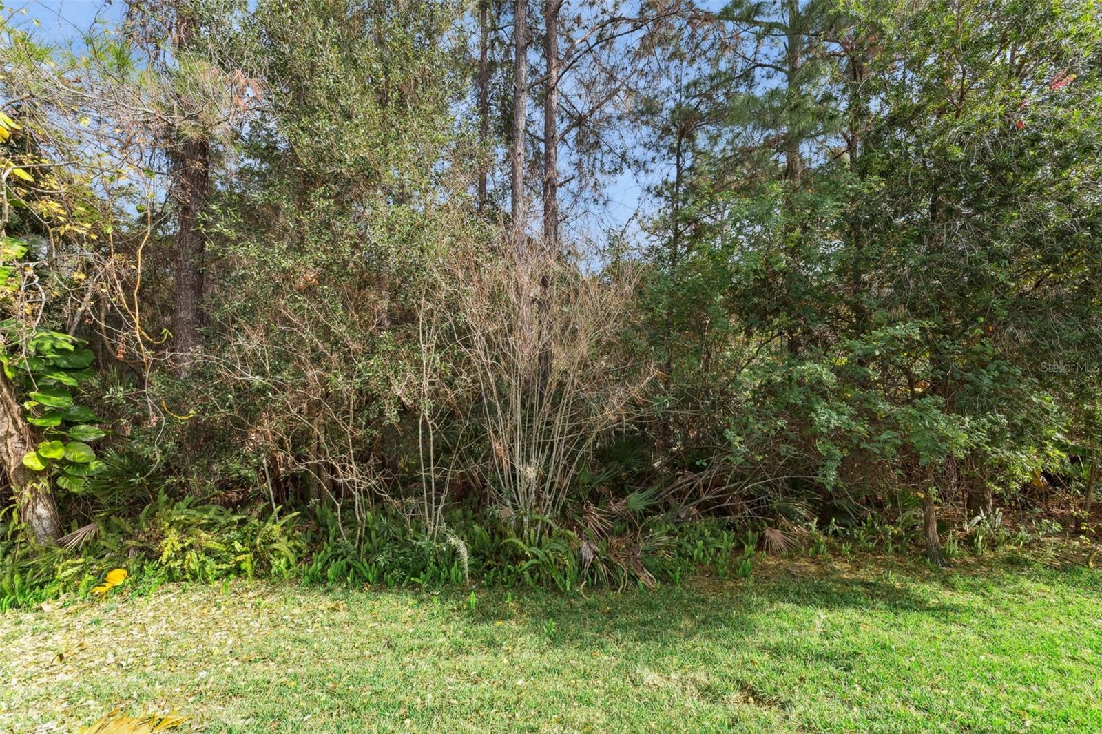 Image 39 of 66 For 3551 Wading Heron Terrace