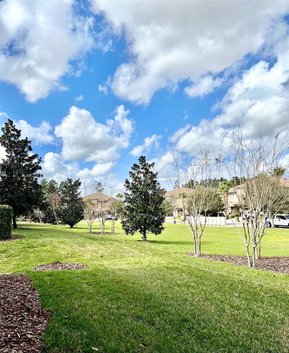 Image 37 of 49 For 8923 Azalea Sands Lane