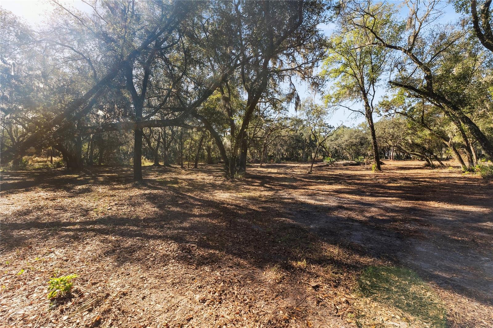 Image 11 of 34 For 1001 Lake Harney Road