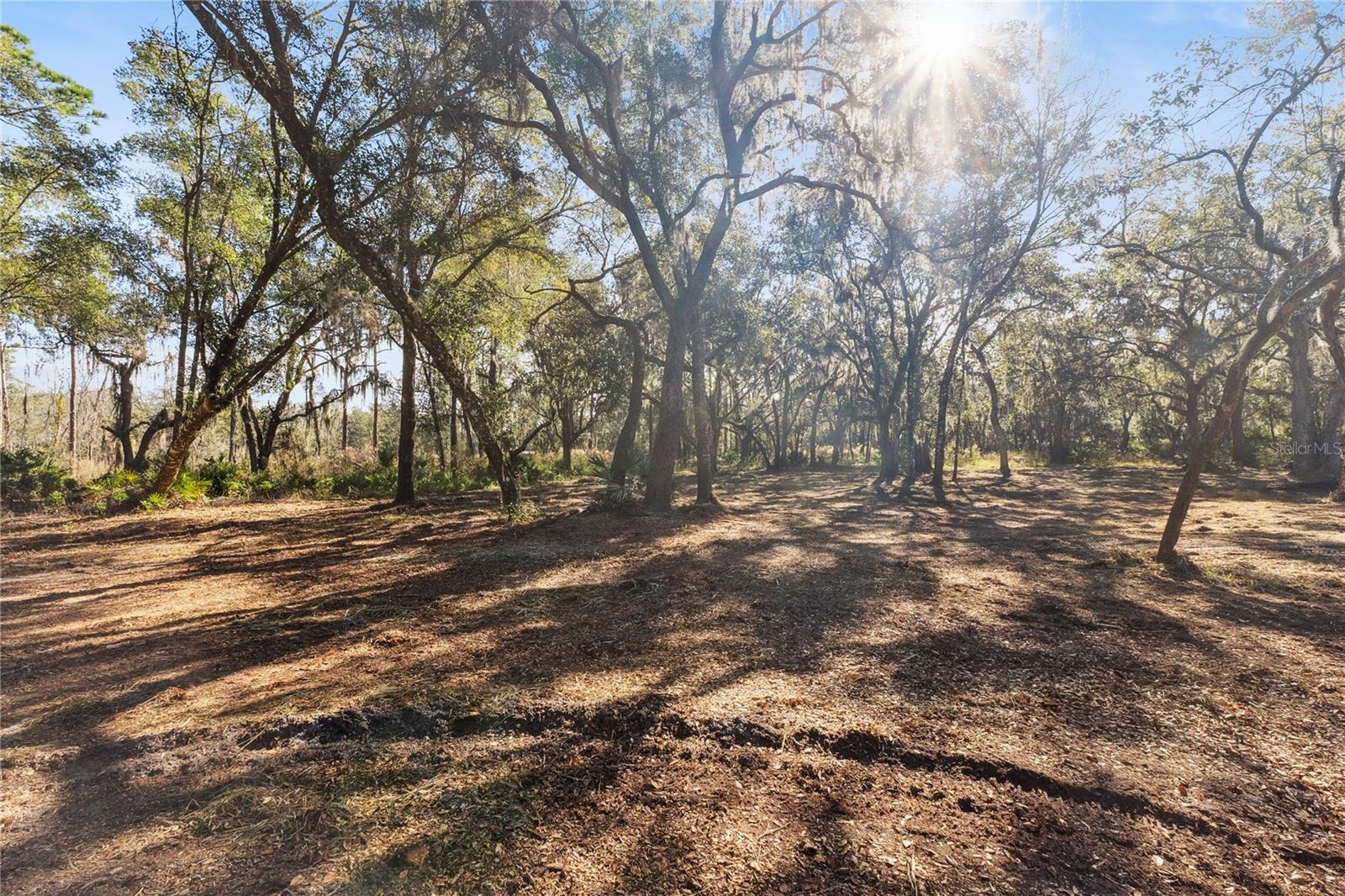 Image 14 of 34 For 1001 Lake Harney Road