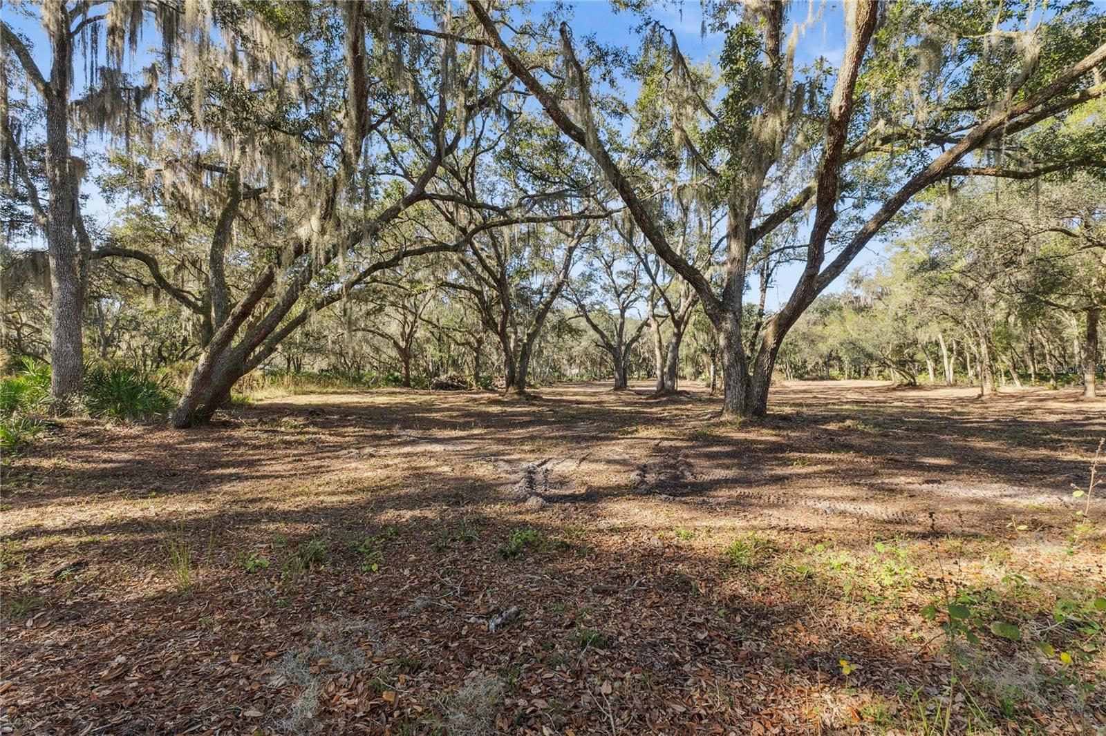 Image 16 of 34 For 1001 Lake Harney Road