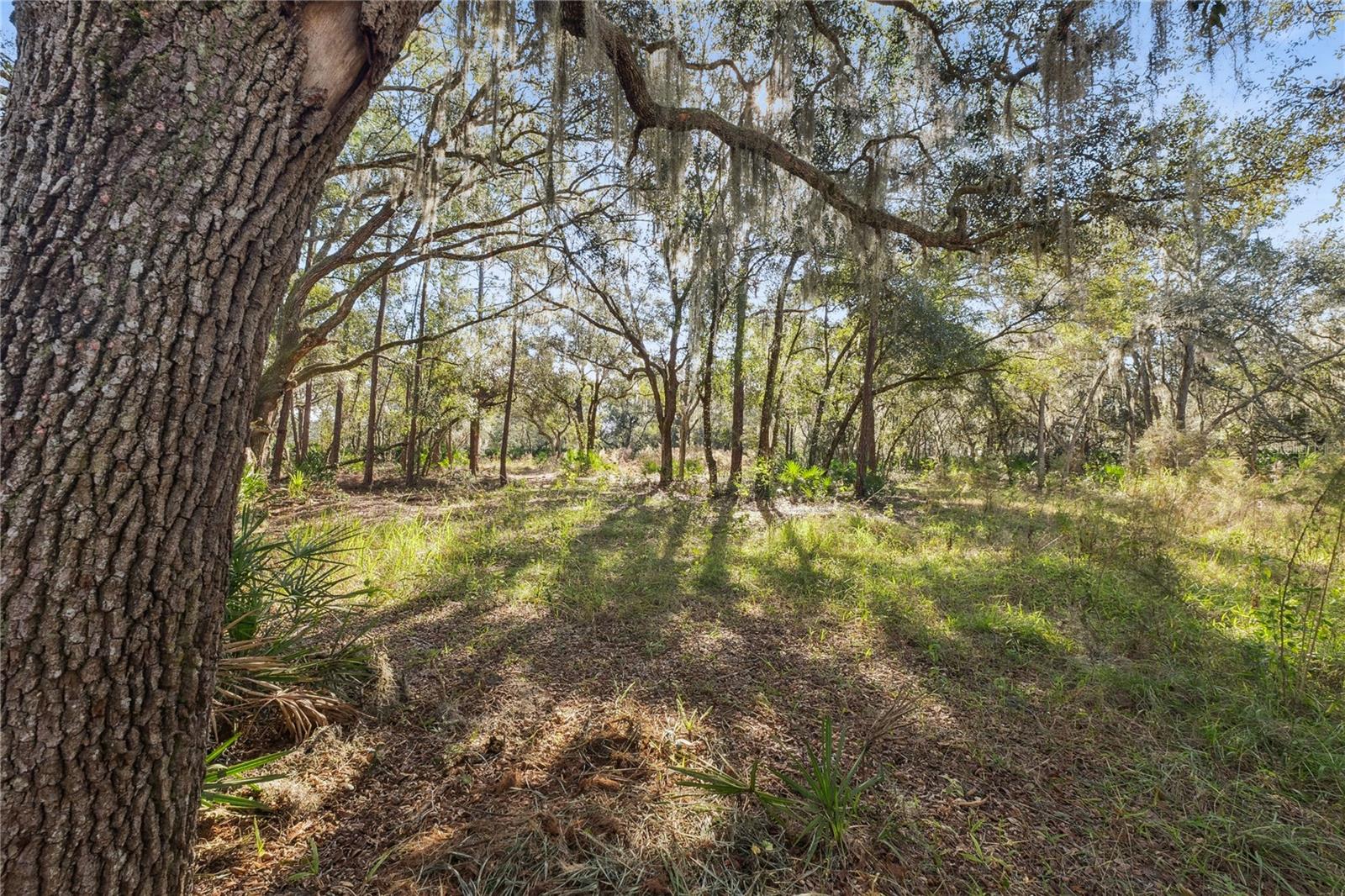 Image 18 of 34 For 1001 Lake Harney Road