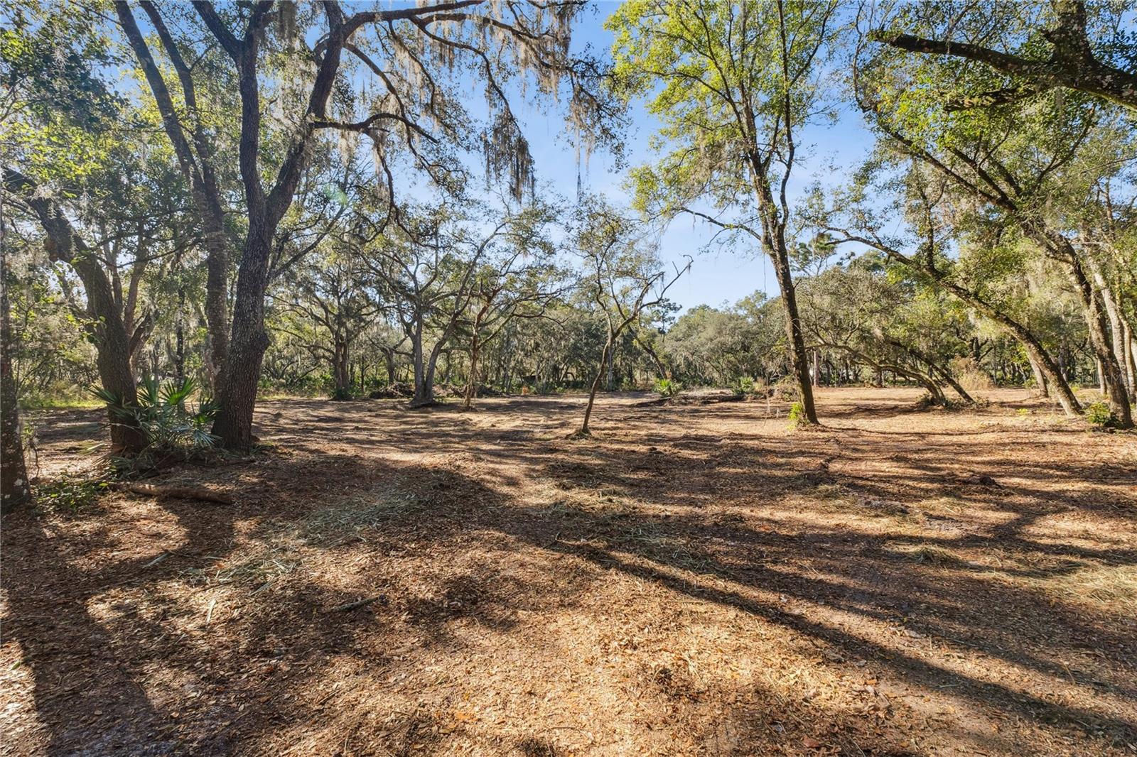 Image 5 of 34 For 1001 Lake Harney Road