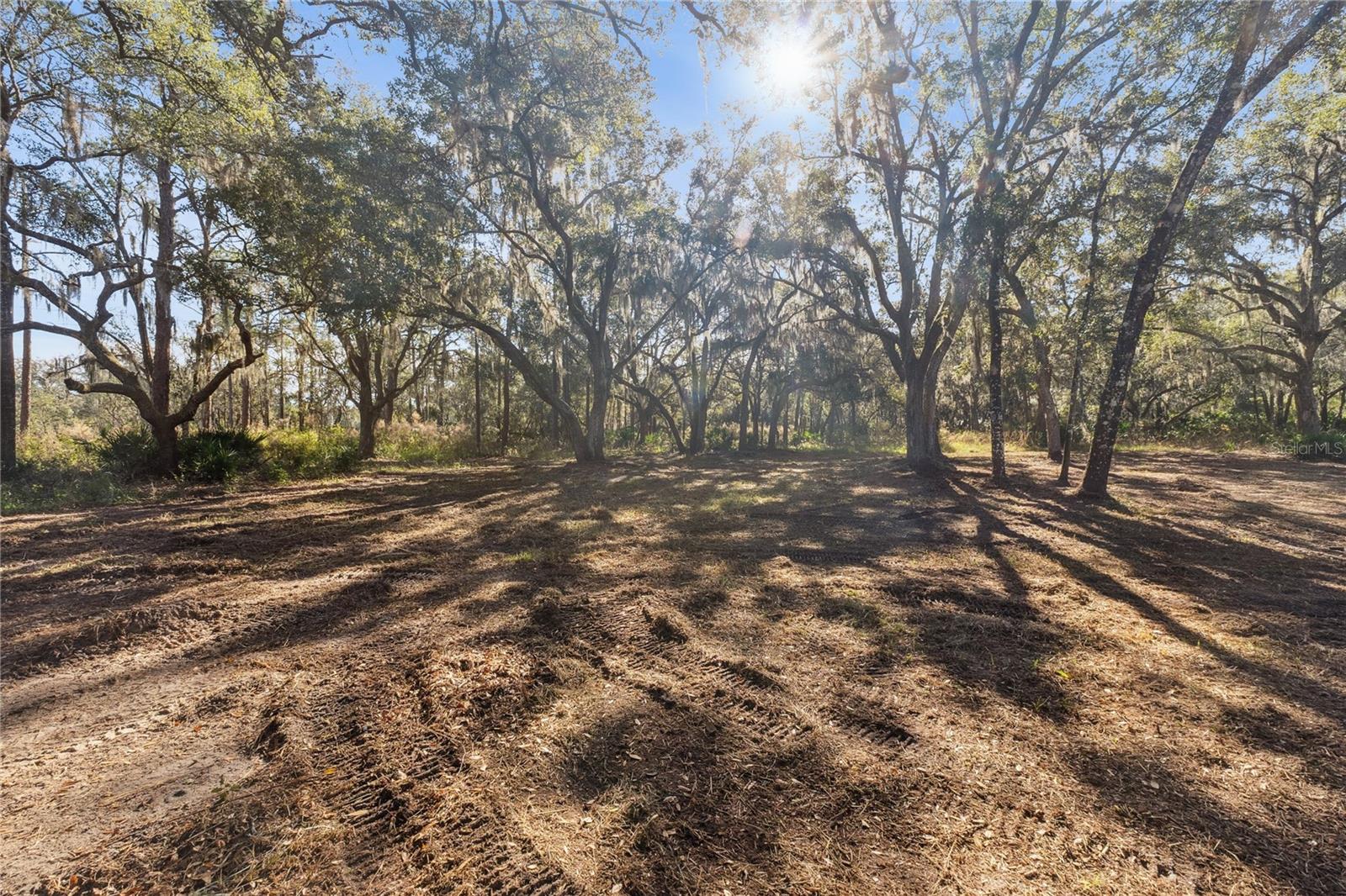 Image 7 of 34 For 1001 Lake Harney Road