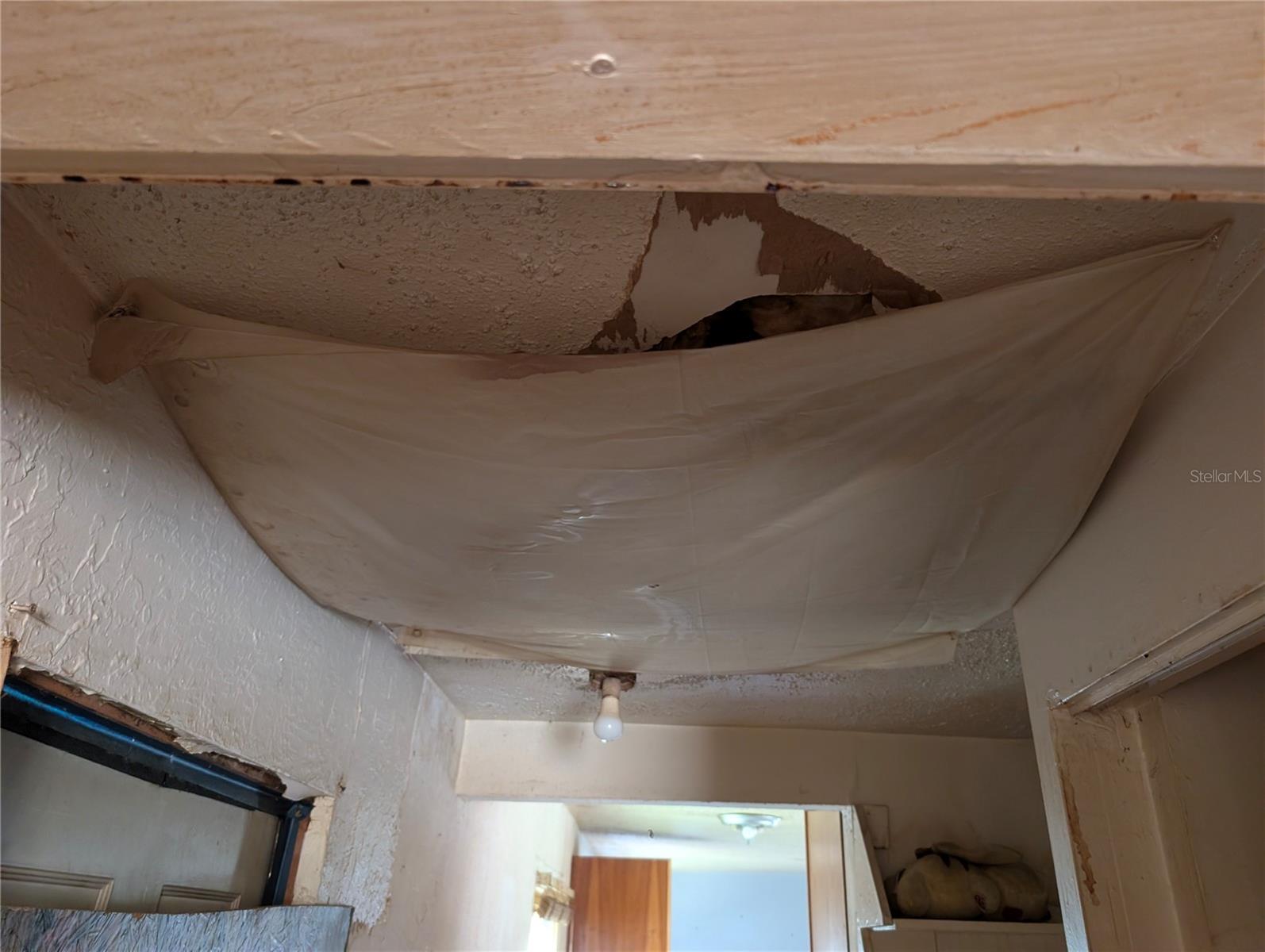 Image 15 of 36 For 25314 Luke Street